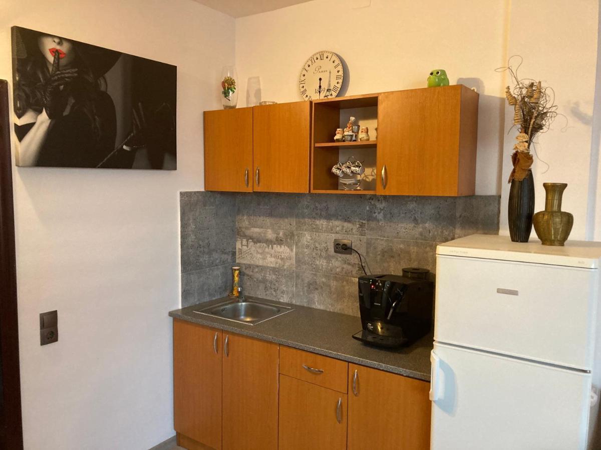Edit House Apartment Târgu-Mureş Eksteriør bilde